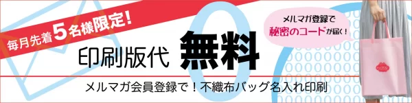 版代無料　名入れ印刷　ラッピング　不織布バッグ