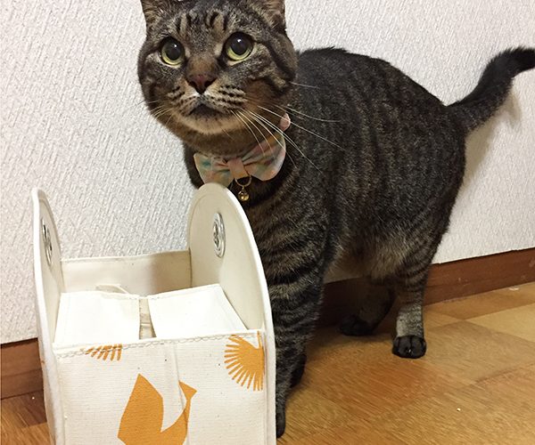 豪華プレゼントが当たるメルマガ登録は年内まで!