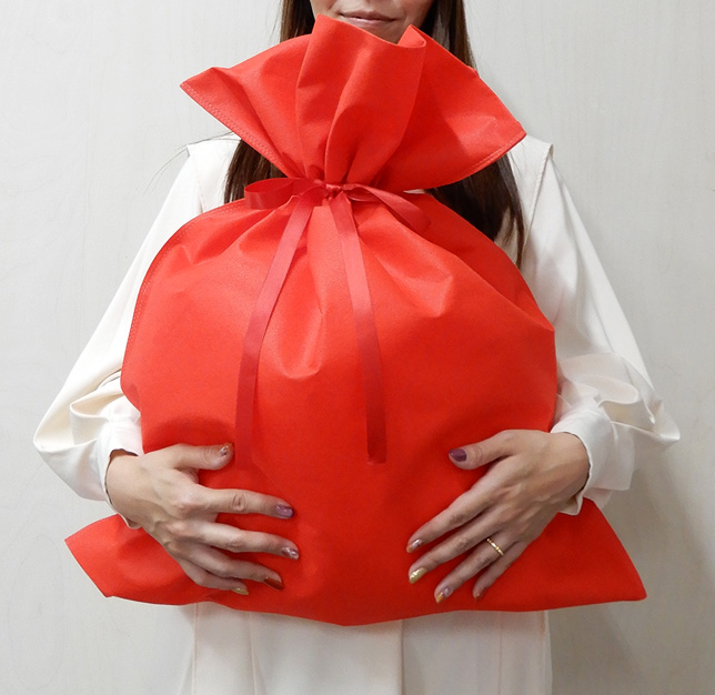 ギフトバッグ　クリスマス