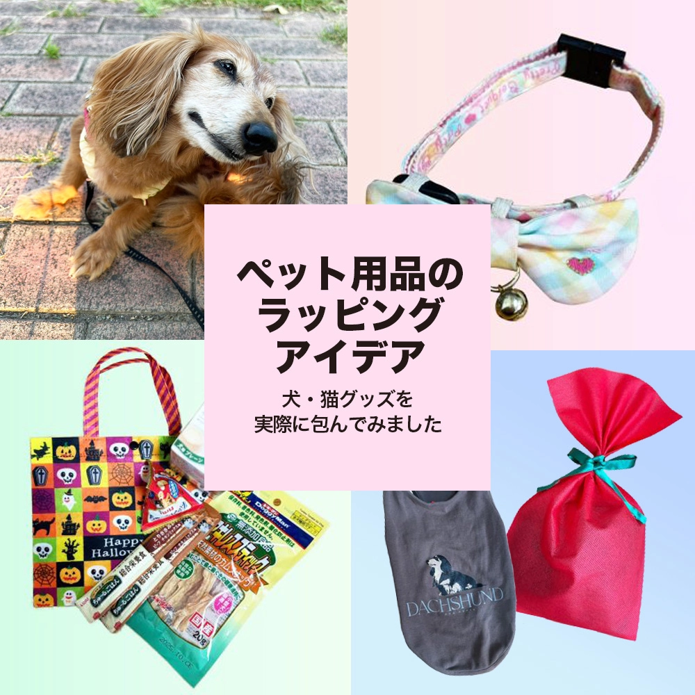 ペット用品のラッピングアイデア│アイキャッチ画像