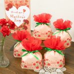 🌸 2026年春の新作ラッピング速報｜桜・カーネーション柄が勢ぞろい！